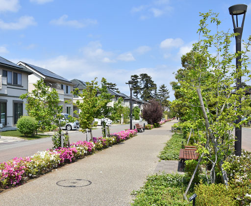 移住地としての人気も高く、整備された街並みが魅力